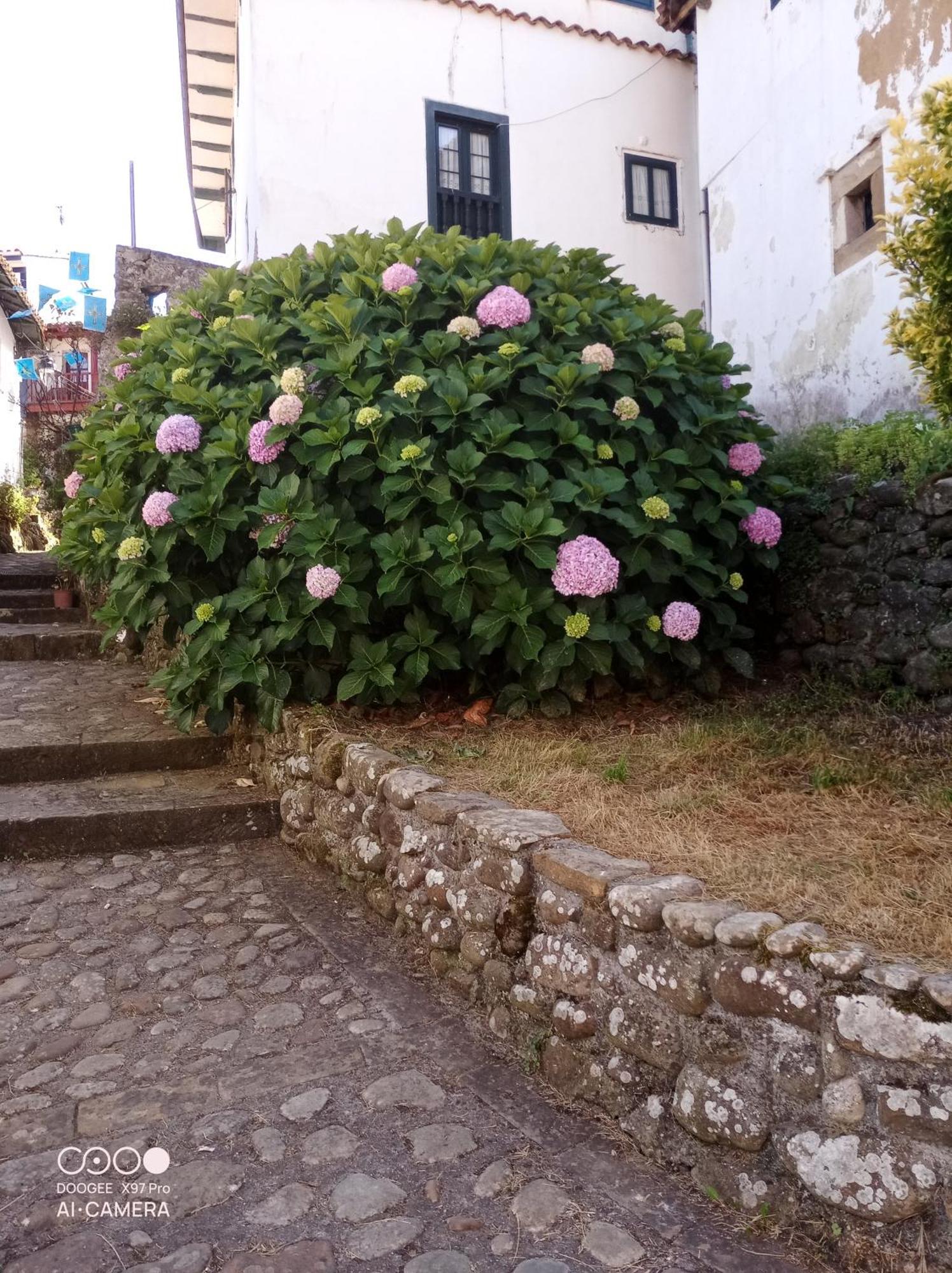 Ferienwohnung Tazones 79 Vut6993As Exterior foto